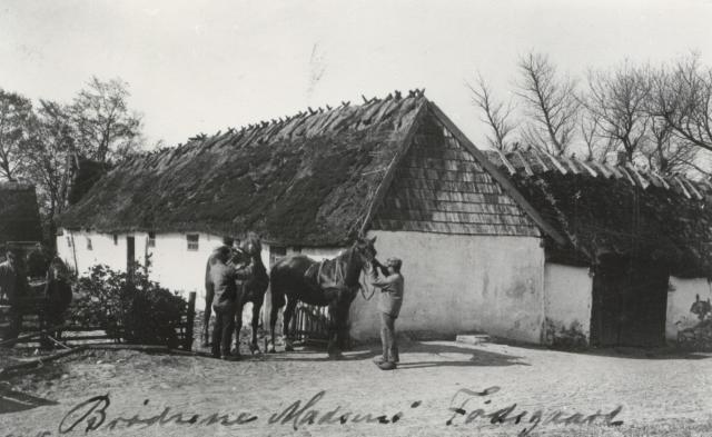 Brødrene Madsens fødegård i Asnæs, ca. 1900 (B1460)