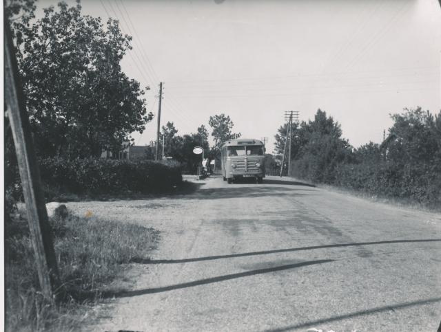 Hurtigbussen på Lyngvejen - ca. 1950 (B8758)