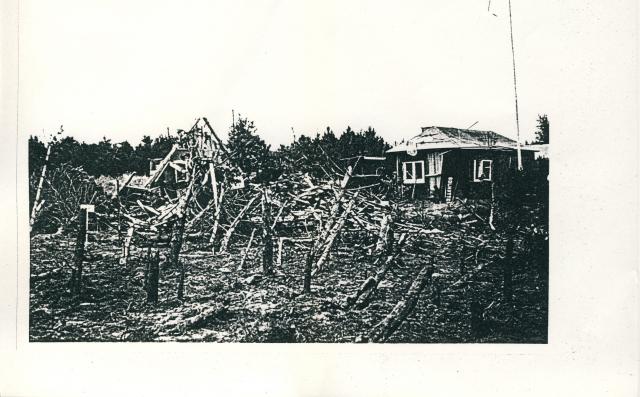 Bombninger i Rørvig Plantage-1944 (B95461)