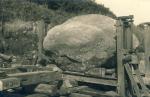 Esterhøjstenen, "Troldstenen", Genforeningsstenen  på blokvogn, 1920 (B1519)