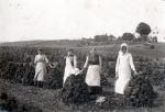 Tørveskæring i Hønsinge under 1. verdenskrig (B9374)