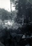 Grønnehave Skov - ca. 1947 (B10056)
