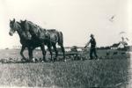 Pløjning med heste - ca. 1935 (B10096)
