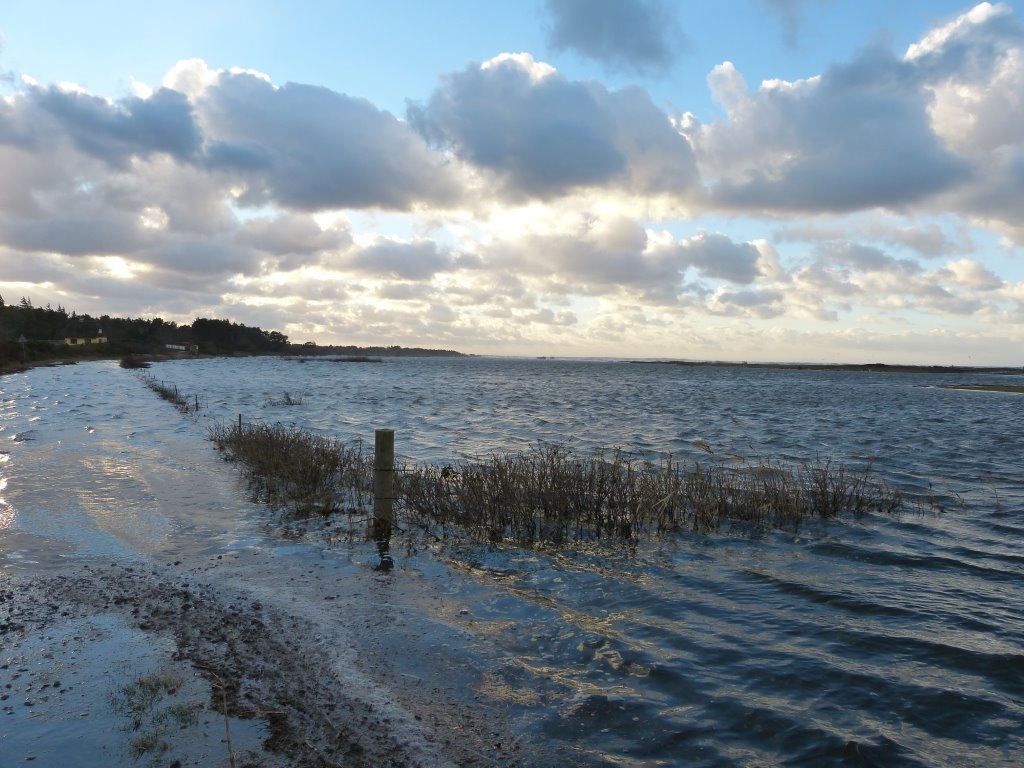 Stormflod ved Flyndersø - december 2013 (B9147)