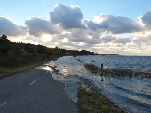 Oversvømmelse ved Flyndersø - december 2013 (B10725)