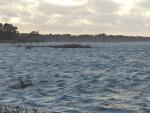 Oversvømmelse ved Flyndersø - december 2013 (B10730)