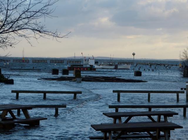 Rørvig Havn - december 2013 (B11189)