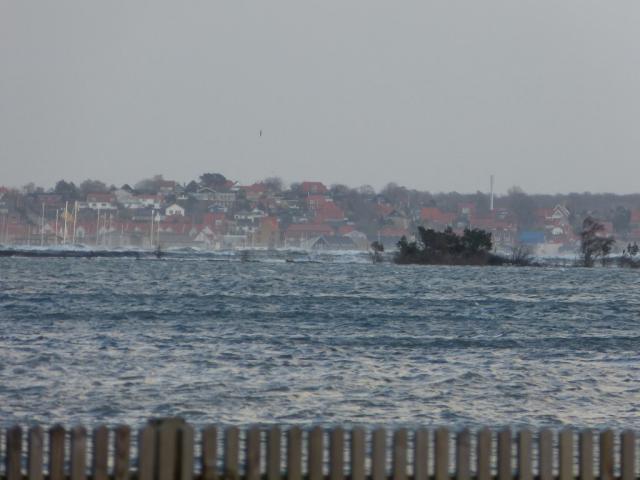 Rørvig Havn - december 2013 (B11234)