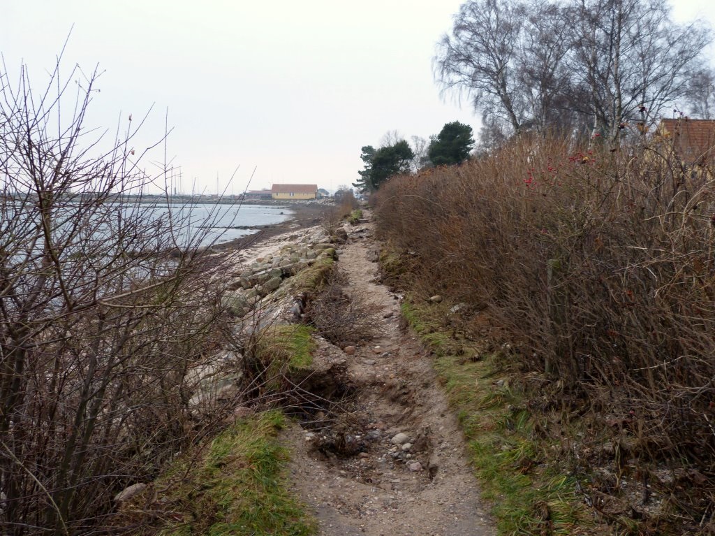 Sti ved Rørvig Havn - december 2013 (B11256)