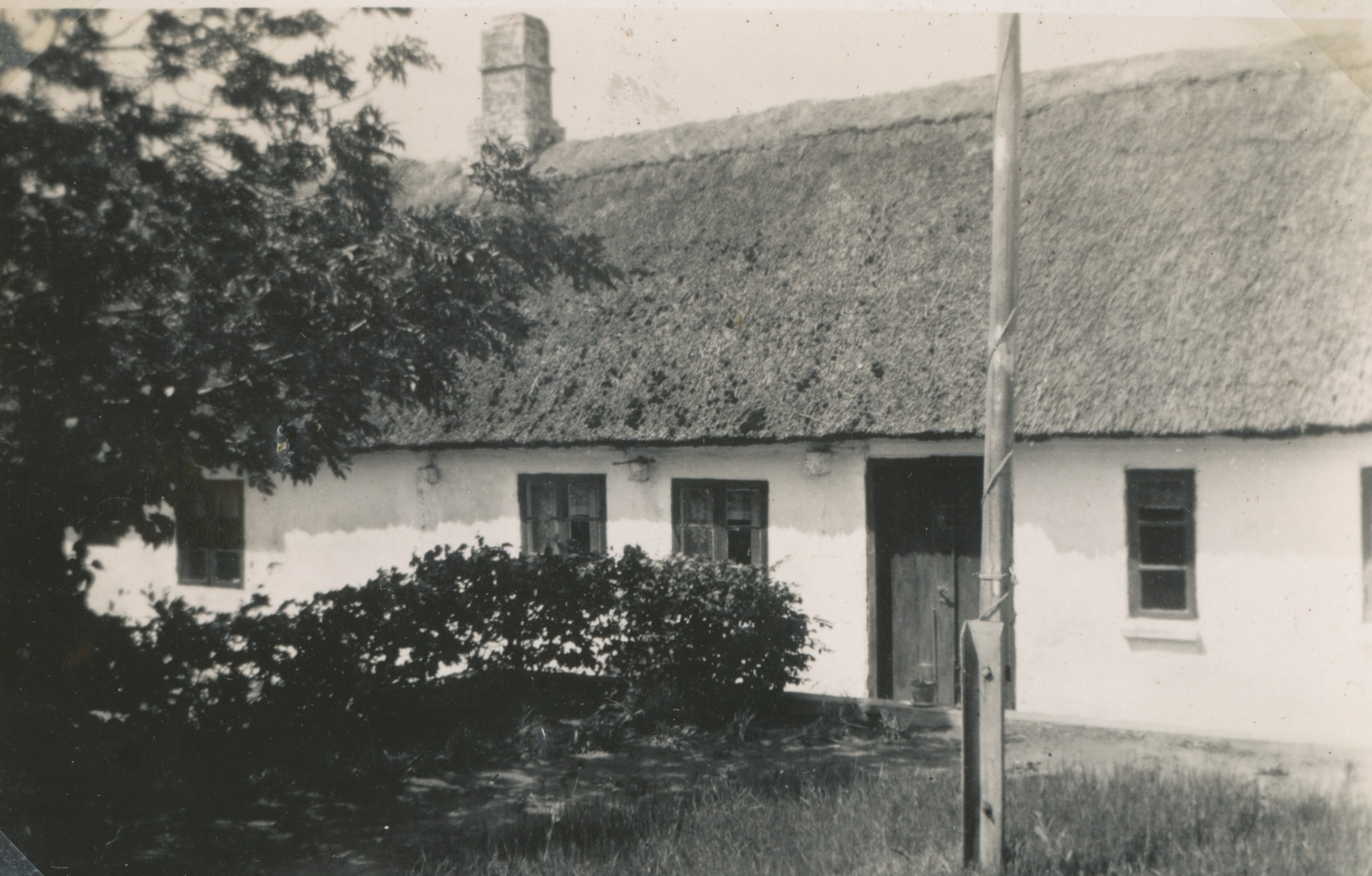 Åsvej 20 - sommeren 1941 (B13084)