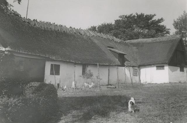 Landejendom ved Veddinge - ca. 1920 (B13726)