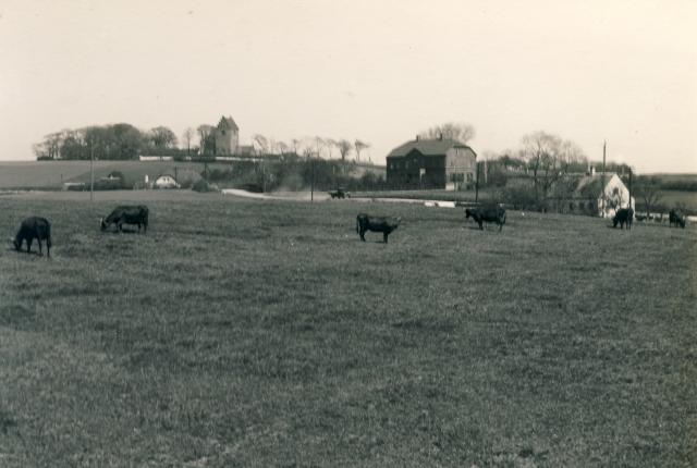 Et landligt Egebjerg omkring 1950 (B1784)