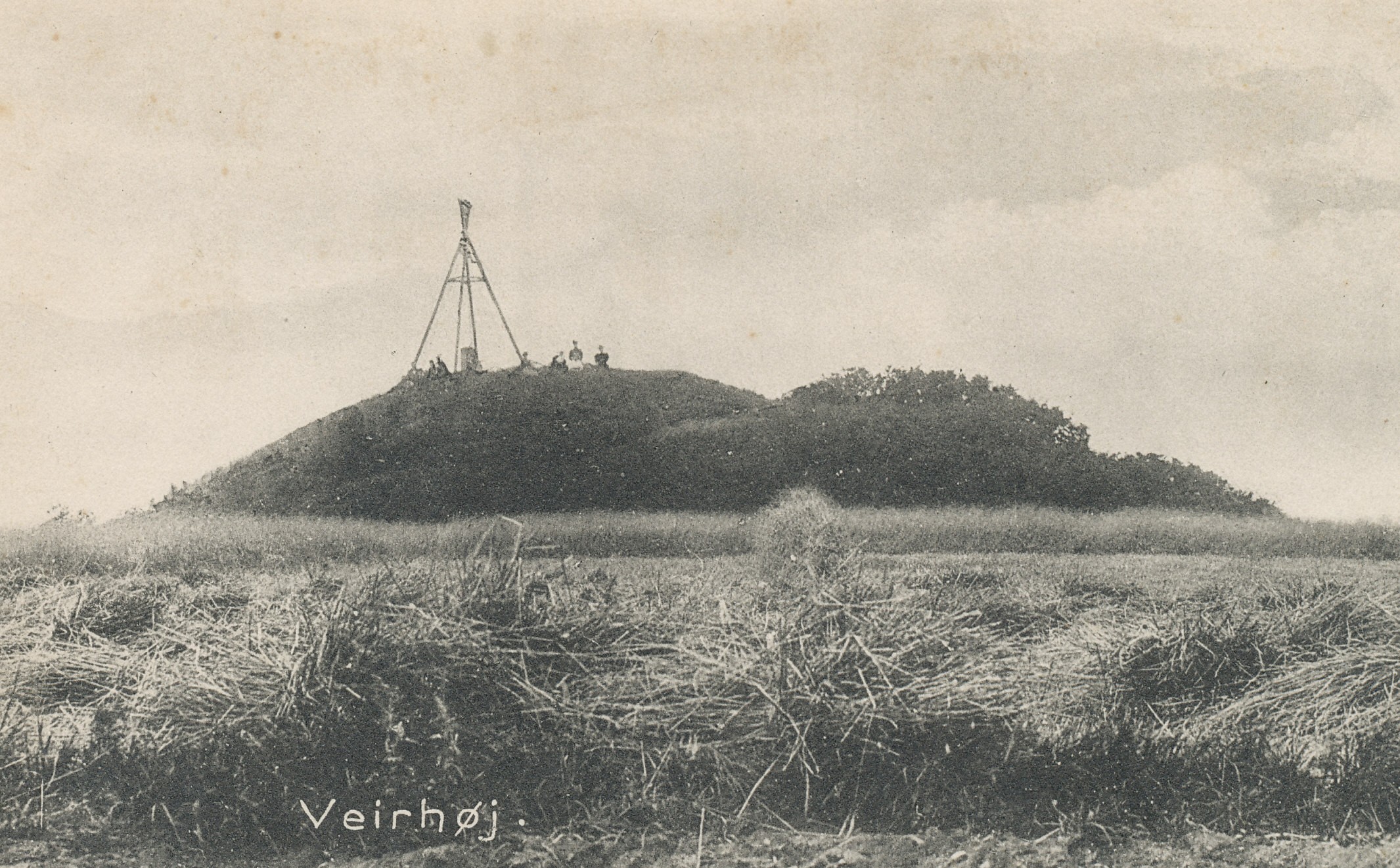 Parti fra Vejrhøj - før 1905 (B2285)