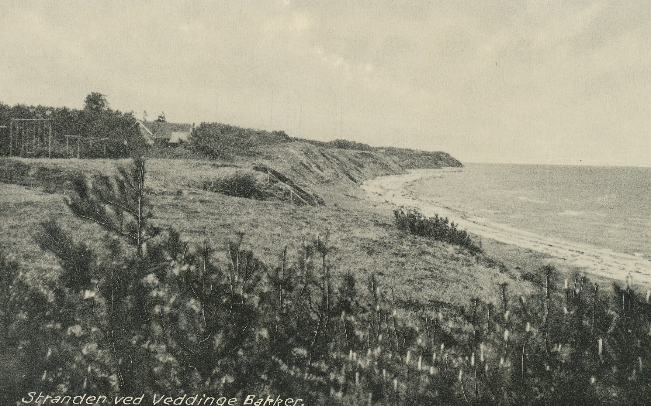 Stranden ved Veddinge Bakker, ca. 1940 (B2340)