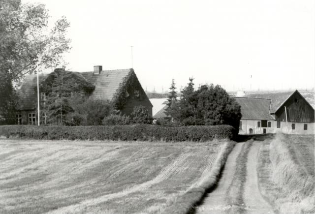 Høvevej 45, Landejendom "Ravnsbjerg" - 1984 (B1444)