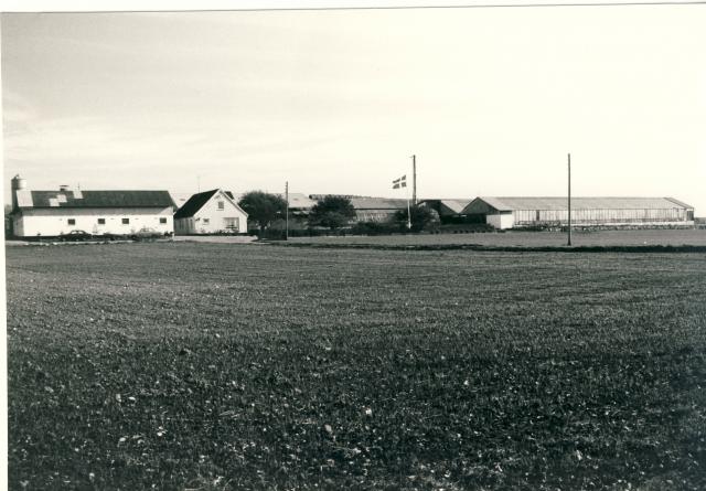 Landejendom, Lykkebjergvej 8, Høve - 1983 (B1321)