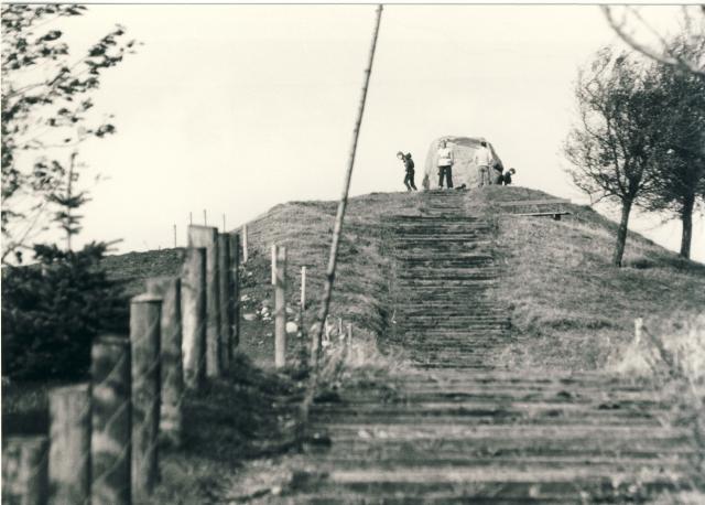 Esterhøjstenen, "Troldstenen", Genforeningsstenen, Høve - 1983 (B1338)