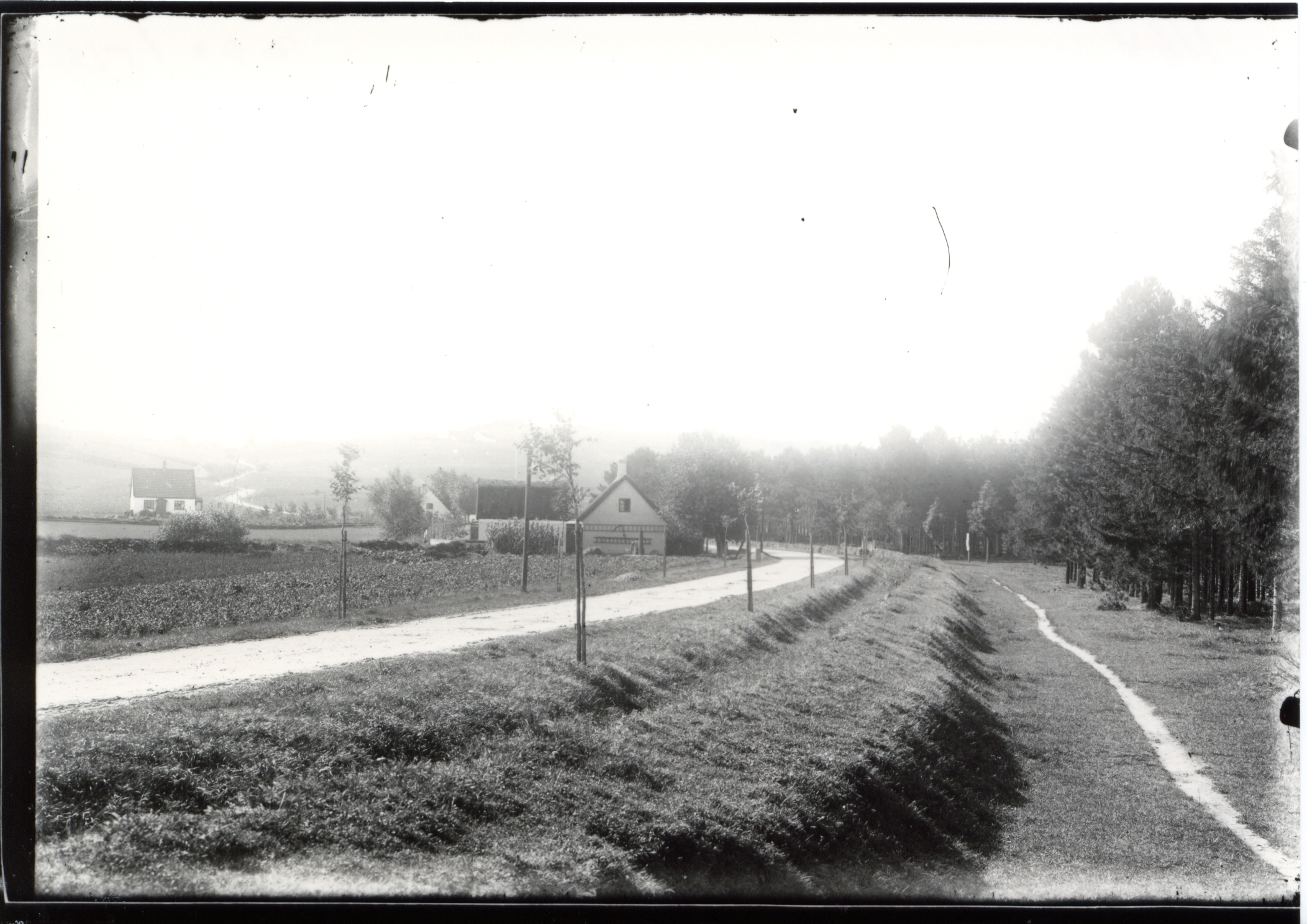 Landevejen ved Høve Skov omkring år 1900 (B1125)