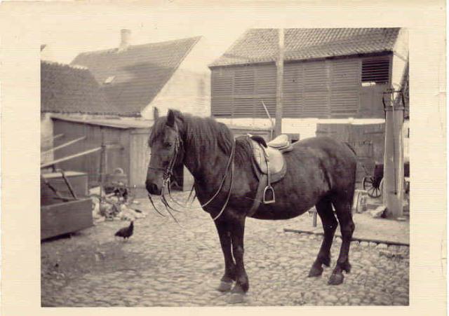 Gården bag glarmester Geppel - ca. 1920 (B90344)