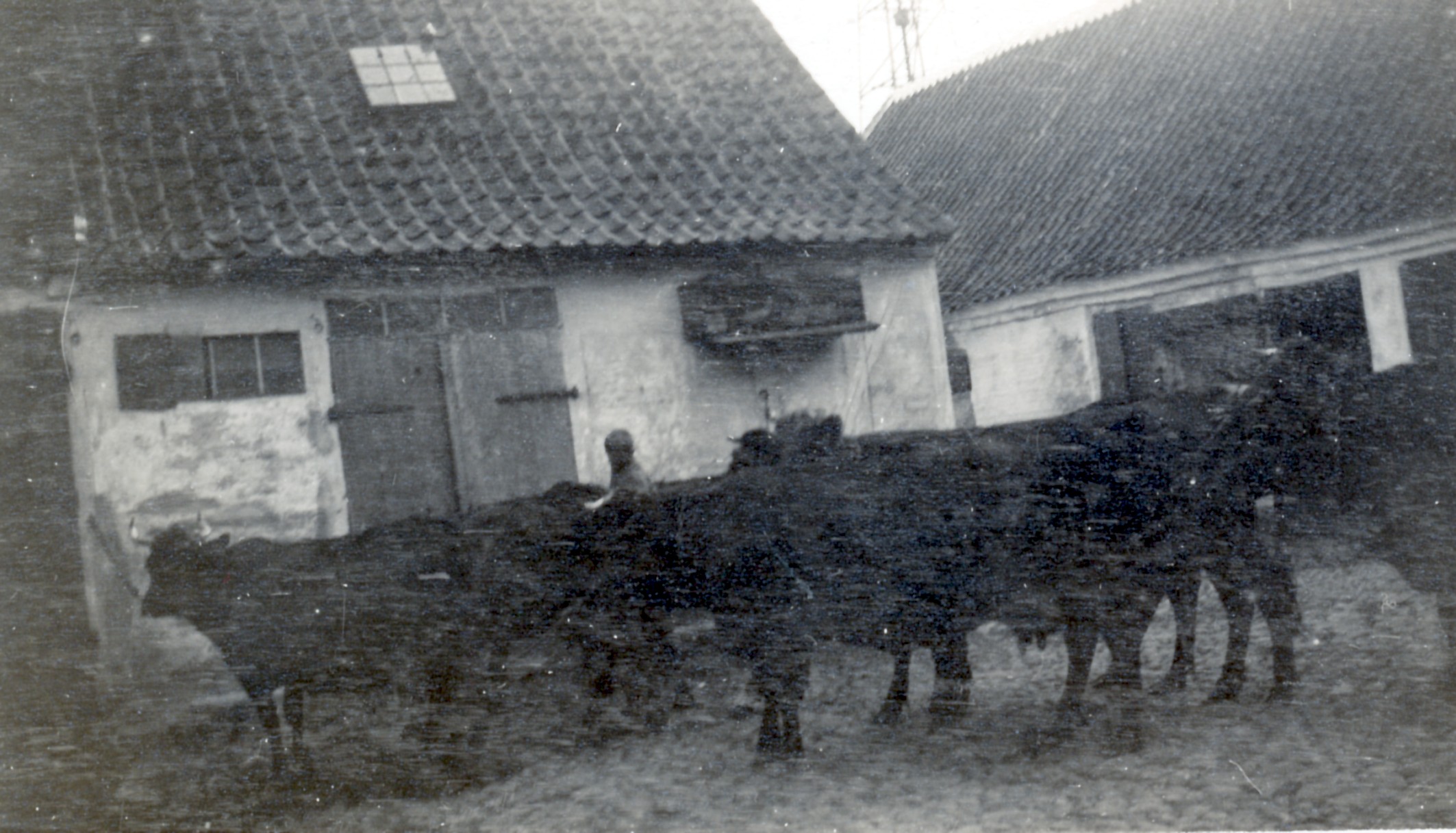 Garvermester Schackes gård - ca. 1895 (B90347)