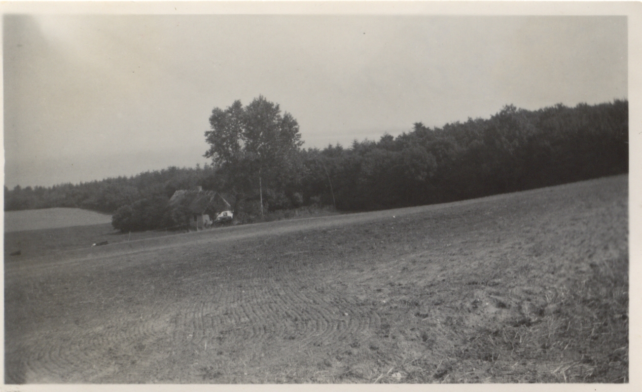 Hus nær Høve Skov omkring 1940 (B1170)