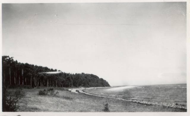Part fra Høve Skov og Strand ca. 1940 (B1171)