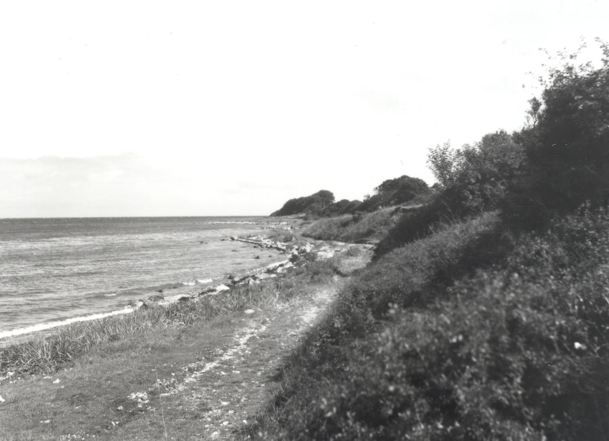 Stranden på nordsiden af Ordrup Næs ca. 1940 (B1180)