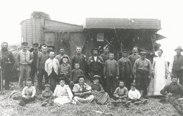 Tærskning på Lammefjorden ca. 1890 - 1.jpg