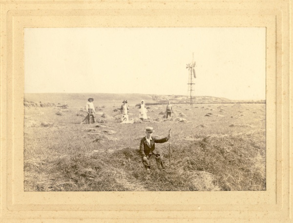 Høstarbejde ca. 1905.jpg