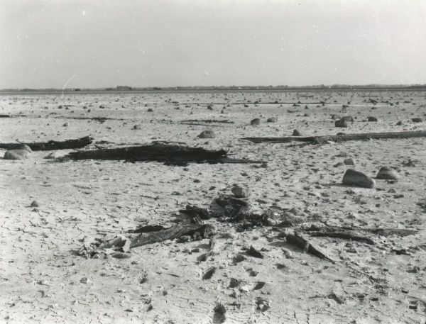 Lammefjordssøen udtørret 1943.JPG