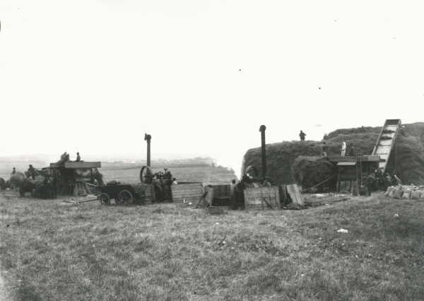 Tærskning på Lammefjorden ca. 1900 - 1.jpg