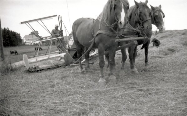 Høstarbejde ca. 1935.jpg