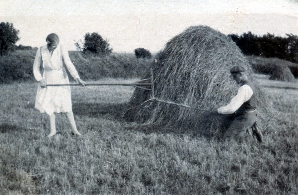 Høstarbejde juni 1931.jpg