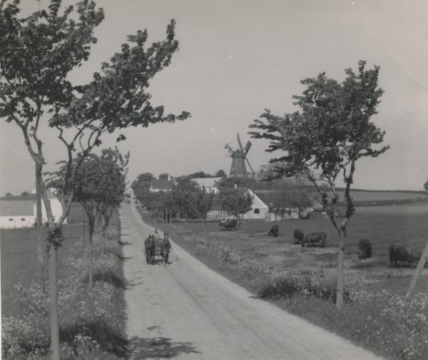 Hønsinge Mølle ca. 1935.jpg
