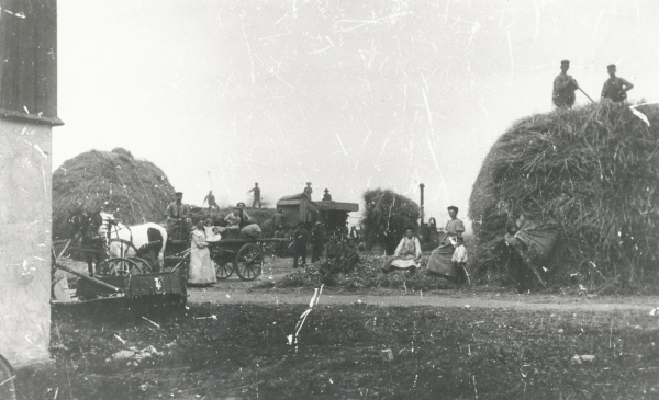 Tærskning på Lammefjorden ca. 1890 - 2.jpg