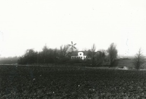 Lindegården, Hørve 1929. - Bemærk vindmotoren ved gården. - Fotograf: Holger Nielsen.