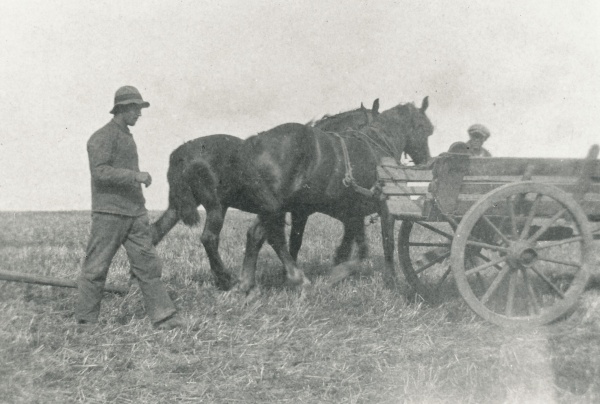 Hestevogn 1920.jpg