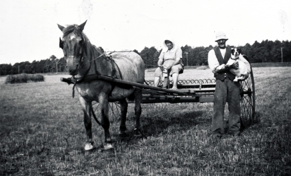 Hesterive på Lyngvej 1940.jpg