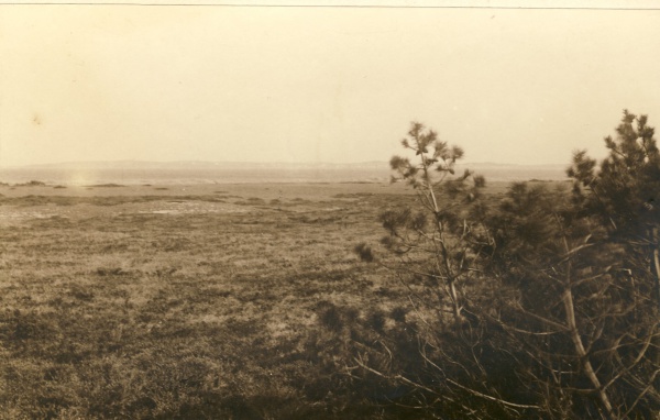 Korshage ca. 1915.jpg