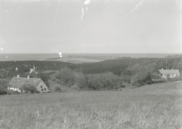 Lejrebjerg skov-Kårup skov ca. 1940.jpg