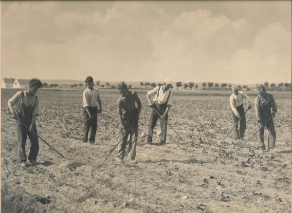 Roearbejdere ca. 1940.jpg