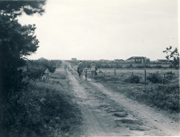 Fuglebækvej 1955.jpg