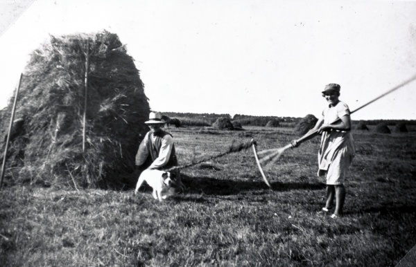 Høstarbejde 1939.jpg
