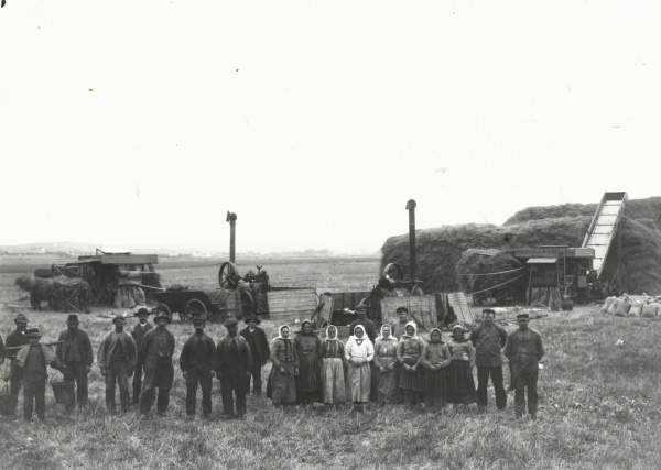 Tærskning på Lammefjorden ca. 1900 - 2.jpg