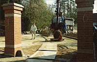 Nyt lindetræ -1996 (B12548)