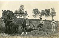 Landbrug - Ca. 1900 (B10661)