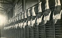 Gymnastik - 1950'erne (B12130)